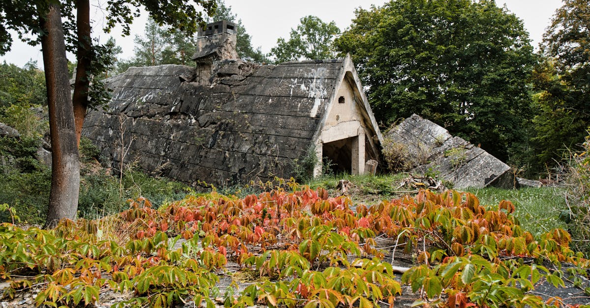 Insulation Materials for Passive House Buildings