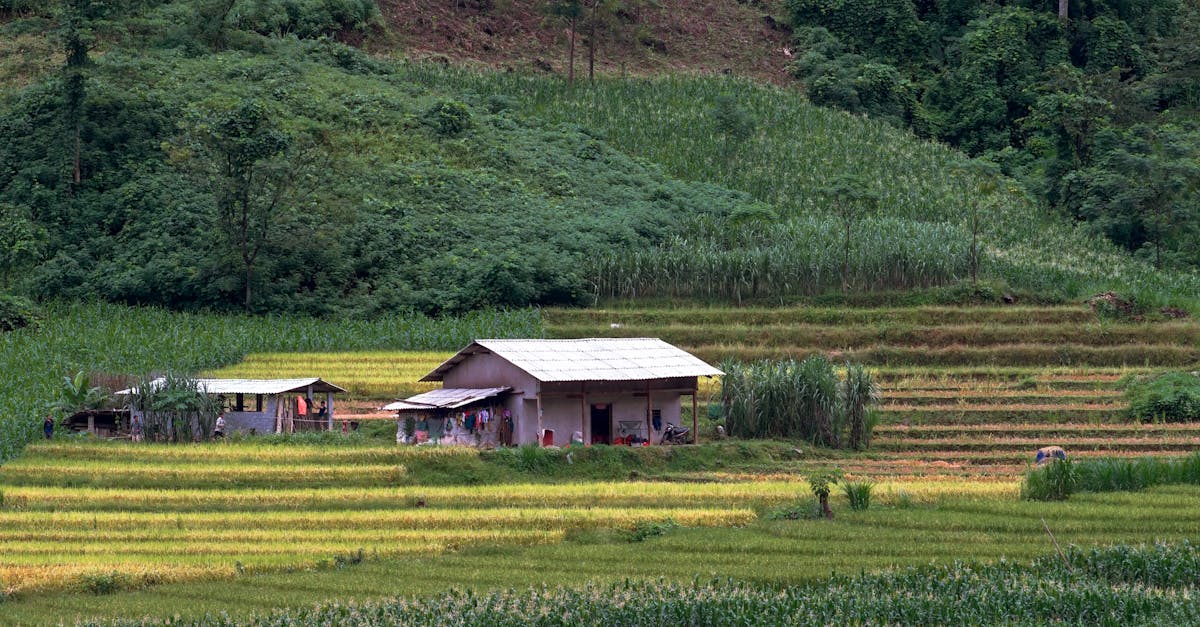 Rainwater Harvesting in Passive House Design